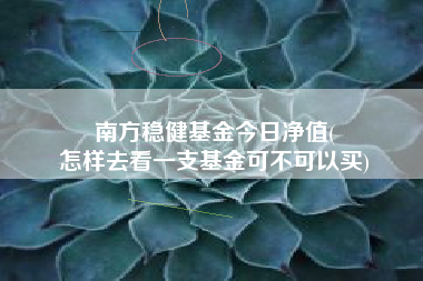 南方稳健基金今日净值(
怎样去看一支基金可不可以买)