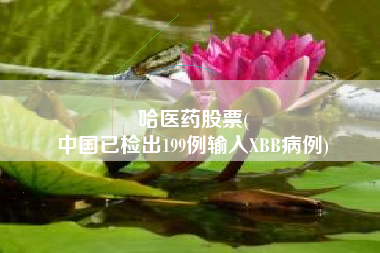哈医药股票(
中国已检出199例输入XBB病例)