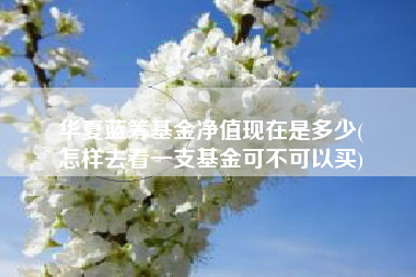 华夏蓝筹基金净值现在是多少(
怎样去看一支基金可不可以买)