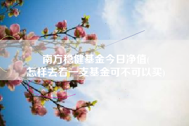 南方稳健基金今日净值(
怎样去看一支基金可不可以买)