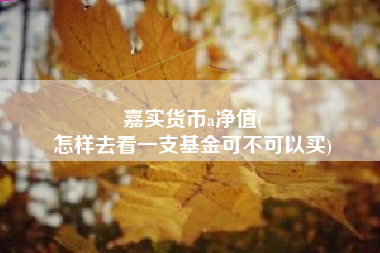 嘉实货币a净值(
怎样去看一支基金可不可以买)