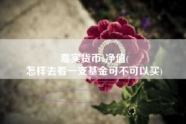 嘉实货币a净值(
怎样去看一支基金可不可以买)