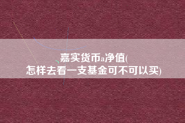 嘉实货币a净值(
怎样去看一支基金可不可以买)