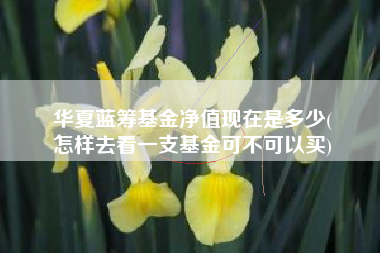 华夏蓝筹基金净值现在是多少(
怎样去看一支基金可不可以买)