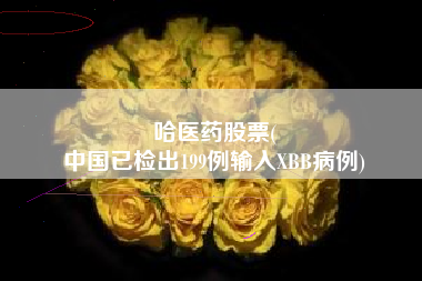 哈医药股票(
中国已检出199例输入XBB病例)