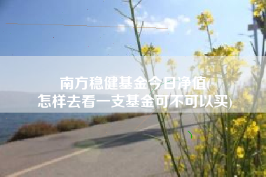 南方稳健基金今日净值(
怎样去看一支基金可不可以买)