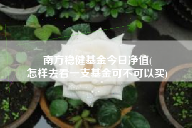 南方稳健基金今日净值(
怎样去看一支基金可不可以买)