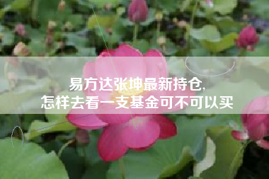 易方达张坤最新持仓,
怎样去看一支基金可不可以买