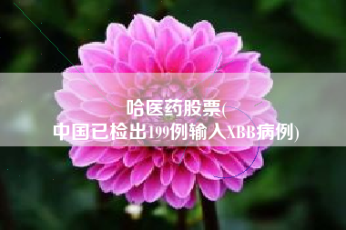 哈医药股票(
中国已检出199例输入XBB病例)
