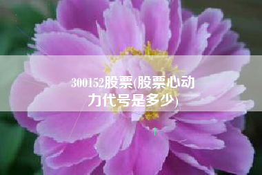 300152股票(股票心动
力代号是多少) 300152股票(股票心动
力代号是多少)