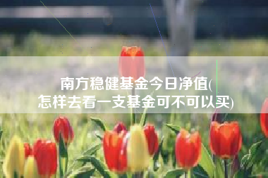 南方稳健基金今日净值(
怎样去看一支基金可不可以买)