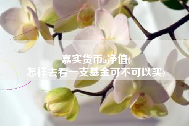 嘉实货币a净值(
怎样去看一支基金可不可以买)