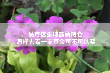 易方达张坤最新持仓,
怎样去看一支基金可不可以买