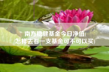 南方稳健基金今日净值(
怎样去看一支基金可不可以买)