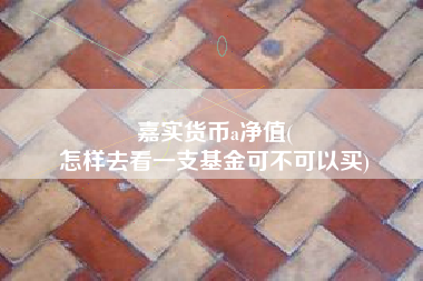 嘉实货币a净值(
怎样去看一支基金可不可以买)