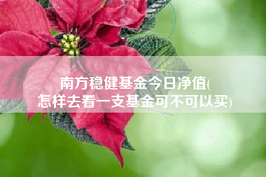 南方稳健基金今日净值(
怎样去看一支基金可不可以买)