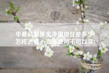 华夏蓝筹基金净值现在是多少(
怎样去看一支基金可不可以买)