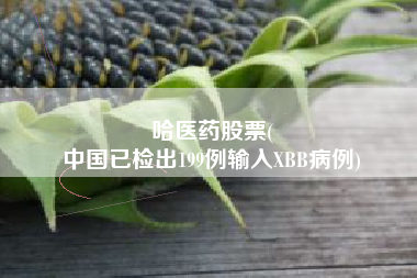 哈医药股票(
中国已检出199例输入XBB病例)