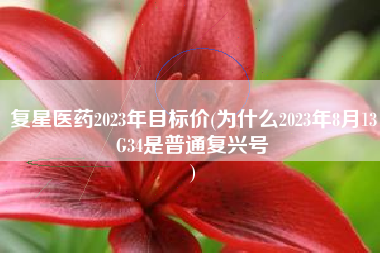 复星医药2023年目标价(为什么2023年8月13G34是普通复兴号
) 复星医药2023年目标价(为什么2023年8月13G34是普通复兴号
)