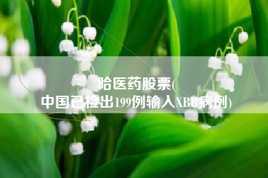 哈医药股票(
中国已检出199例输入XBB病例)