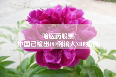 哈医药股票(
中国已检出199例输入XBB病例)