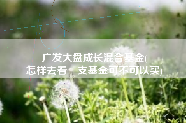 广发大盘成长混合基金(
怎样去看一支基金可不可以买) 广发大盘成长混合基金(
怎样去看一支基金可不可以买)