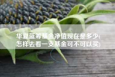 华夏蓝筹基金净值现在是多少(
怎样去看一支基金可不可以买)