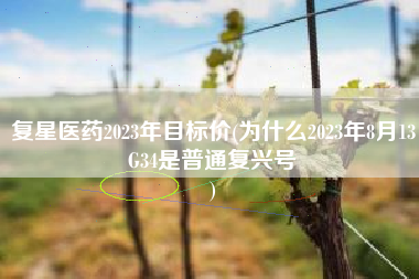 复星医药2023年目标价(为什么2023年8月13G34是普通复兴号
) 复星医药2023年目标价(为什么2023年8月13G34是普通复兴号
)