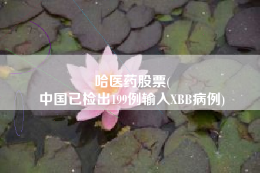 哈医药股票(
中国已检出199例输入XBB病例)