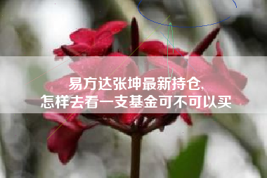 易方达张坤最新持仓,
怎样去看一支基金可不可以买