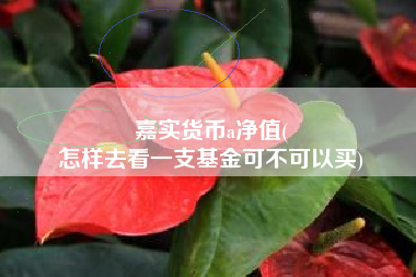 嘉实货币a净值(
怎样去看一支基金可不可以买)