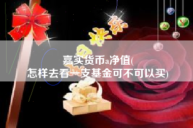 嘉实货币a净值(
怎样去看一支基金可不可以买)