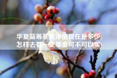 华夏蓝筹基金净值现在是多少(
怎样去看一支基金可不可以买)