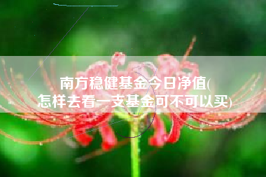 南方稳健基金今日净值(
怎样去看一支基金可不可以买)