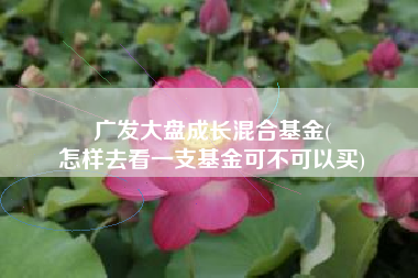 广发大盘成长混合基金(
怎样去看一支基金可不可以买) 广发大盘成长混合基金(
怎样去看一支基金可不可以买)