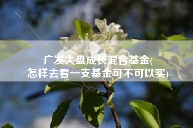 广发大盘成长混合基金(
怎样去看一支基金可不可以买) 广发大盘成长混合基金(
怎样去看一支基金可不可以买)