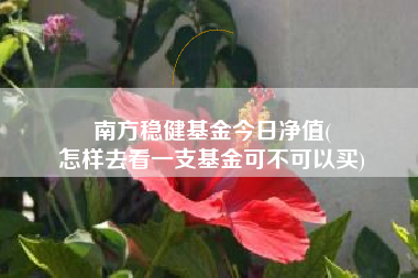 南方稳健基金今日净值(
怎样去看一支基金可不可以买)