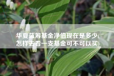 华夏蓝筹基金净值现在是多少(
怎样去看一支基金可不可以买)
