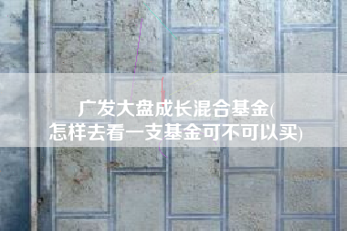 广发大盘成长混合基金(
怎样去看一支基金可不可以买) 广发大盘成长混合基金(
怎样去看一支基金可不可以买)