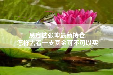 易方达张坤最新持仓,
怎样去看一支基金可不可以买