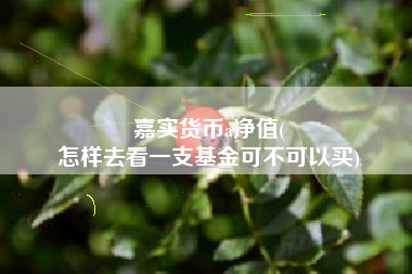 嘉实货币a净值(
怎样去看一支基金可不可以买)