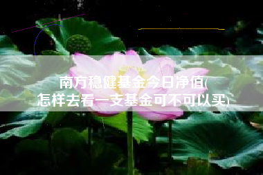 南方稳健基金今日净值(
怎样去看一支基金可不可以买)
