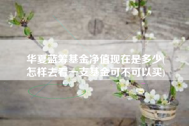 华夏蓝筹基金净值现在是多少(
怎样去看一支基金可不可以买)