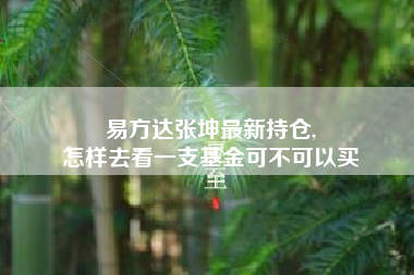 易方达张坤最新持仓,
怎样去看一支基金可不可以买