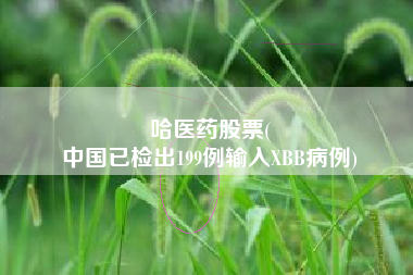 哈医药股票(
中国已检出199例输入XBB病例)