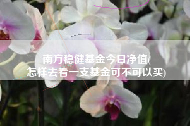 南方稳健基金今日净值(
怎样去看一支基金可不可以买)