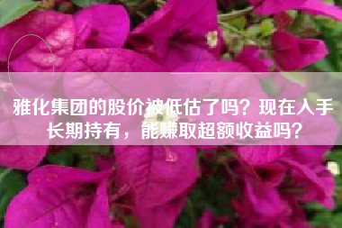 雅化集团的股价被低估了吗？现在入手长期持有，能赚取超额收益吗？