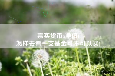 嘉实货币a净值(
怎样去看一支基金可不可以买)