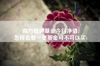 南方稳健基金今日净值(
怎样去看一支基金可不可以买)