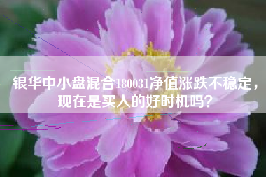 银华中小盘混合180031净值涨跌不稳定，现在是买入的好时机吗？